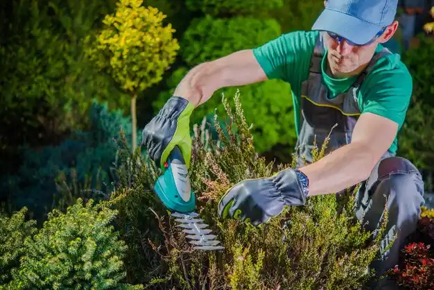 landscaping services Spring Arbor